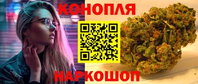 Альфа ПВП Малгобек