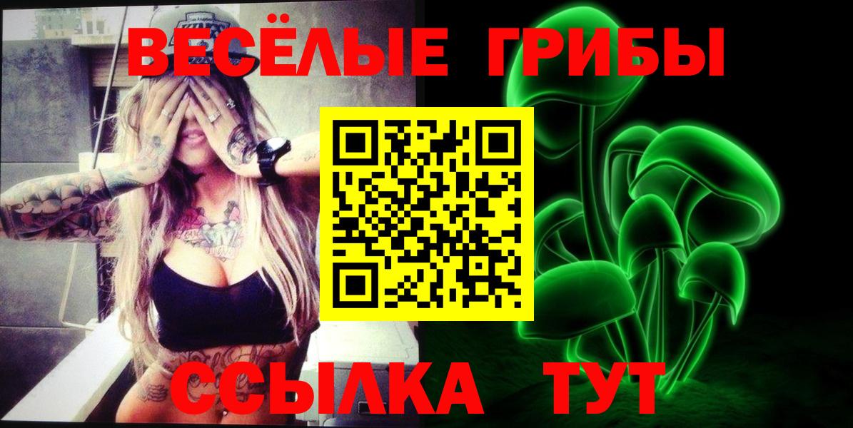 Псилоцибиновые грибы Psilocybine cubensis Озёры